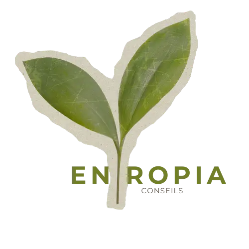 Entropia Conseils